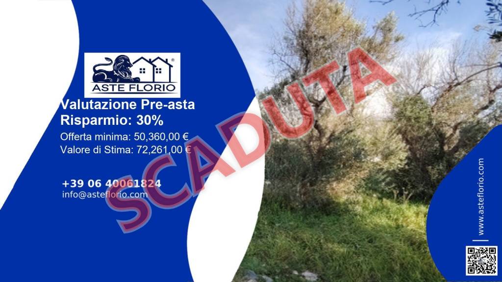 terreno agricolo in vendita a Matino