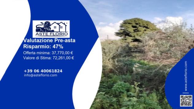 terreno agricolo in vendita a Matino