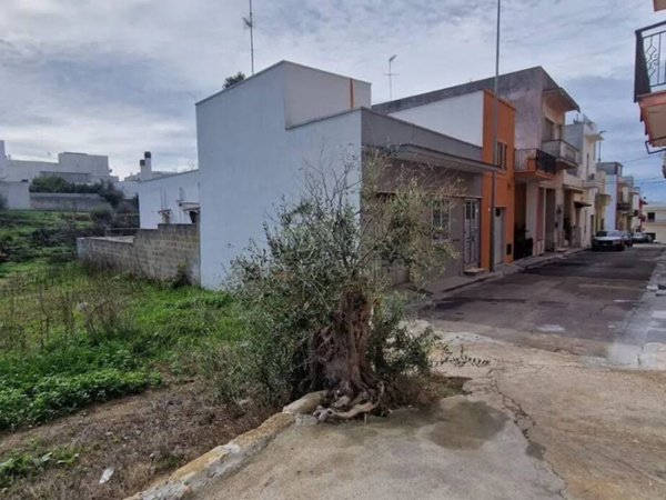 terreno agricolo in vendita a Matino