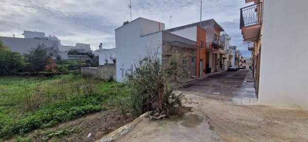 terreno edificabile in vendita a Matino in zona Bosco