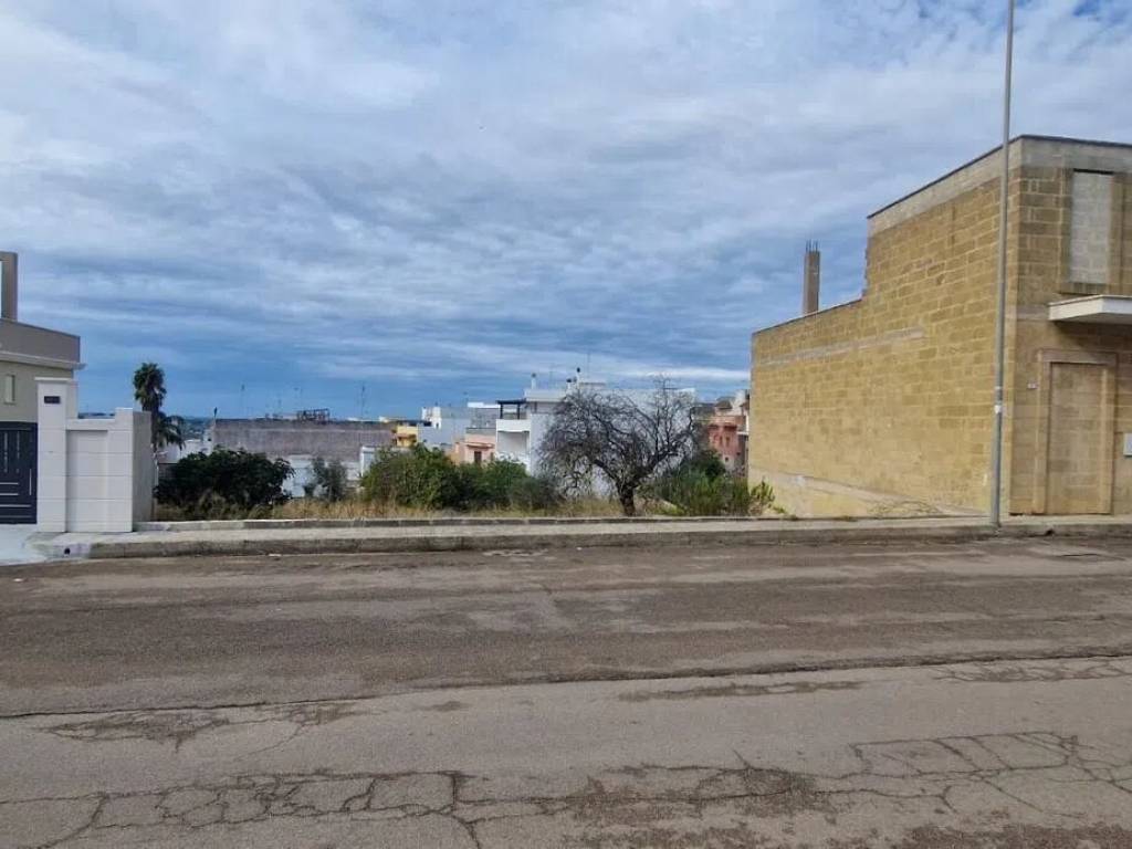 terreno agricolo in vendita a Matino