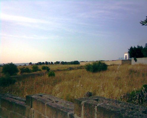 terreno agricolo in vendita a Matino