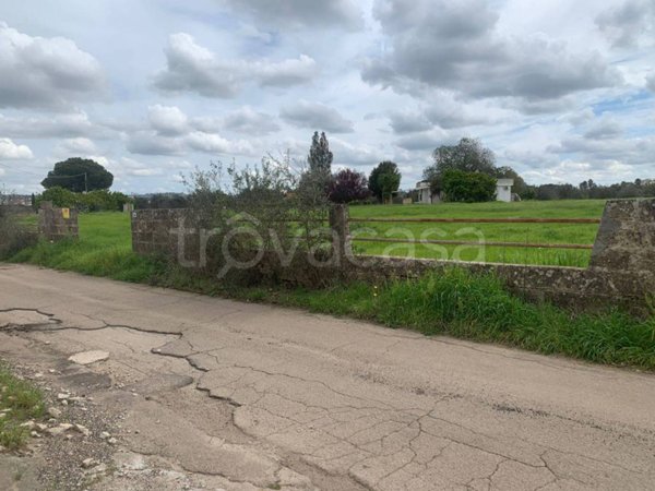 casa indipendente in vendita a Matino