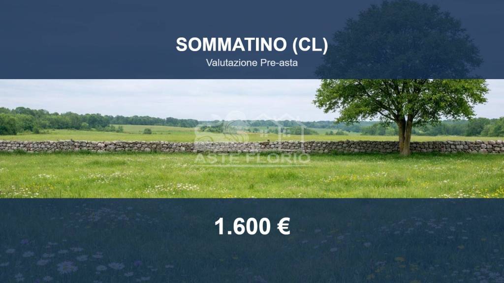 terreno agricolo in vendita a Matino