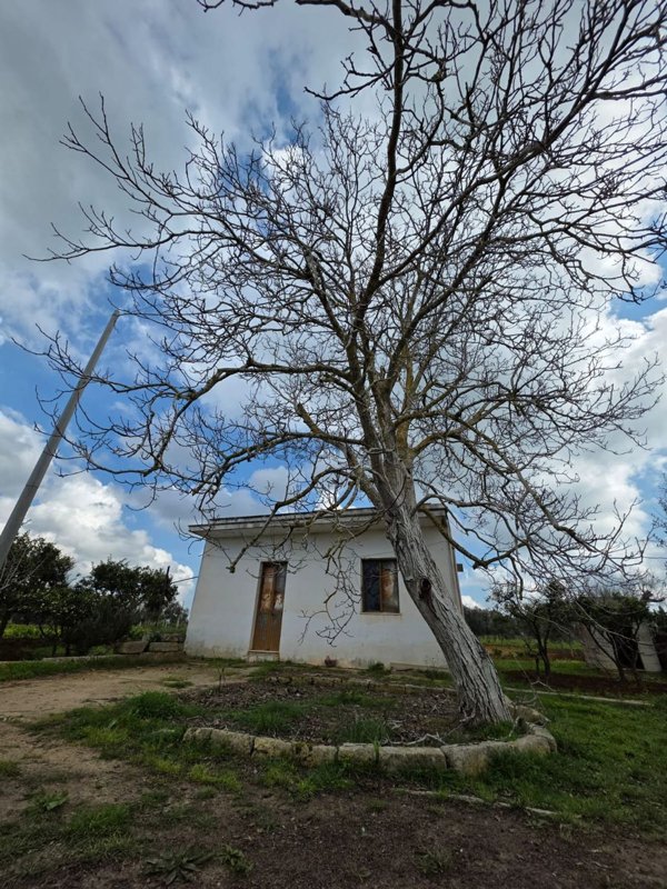 appartamento in vendita a Matino