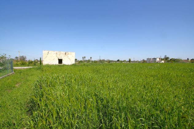 terreno agricolo in vendita a Matino
