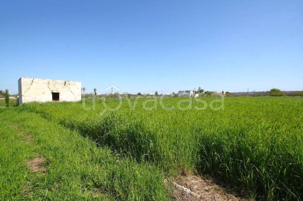 terreno agricolo in vendita a Matino