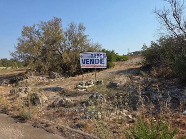 terreno agricolo in vendita a Matino