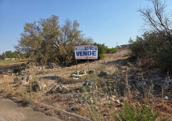 terreno in vendita a Matino