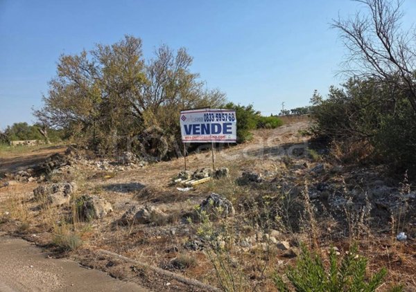 terreno agricolo in vendita a Matino