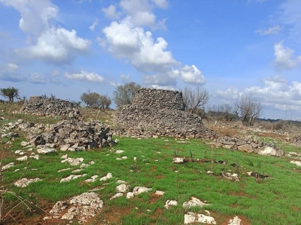 terreno in vendita a Matino