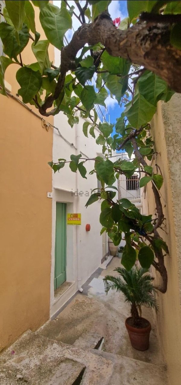 casa indipendente in vendita a Matino in zona Bosco
