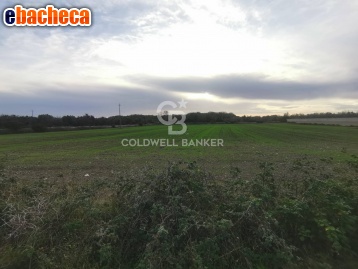 terreno agricolo in vendita a Melendugno in zona Torre dell'Orso