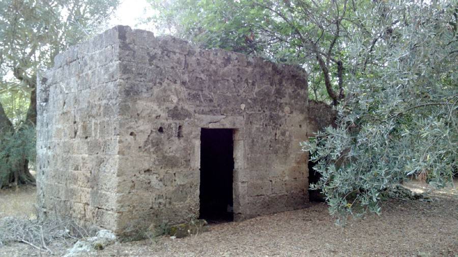 terreno agricolo in vendita a Melendugno