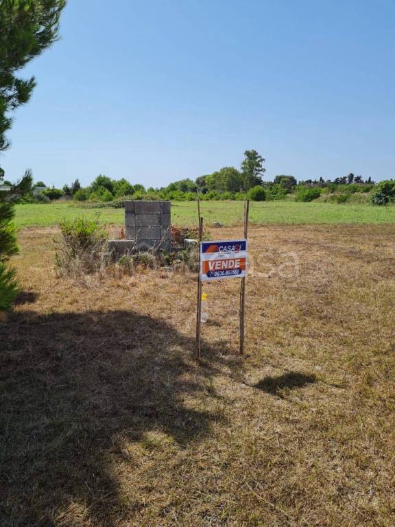 terreno agricolo in vendita a Melendugno