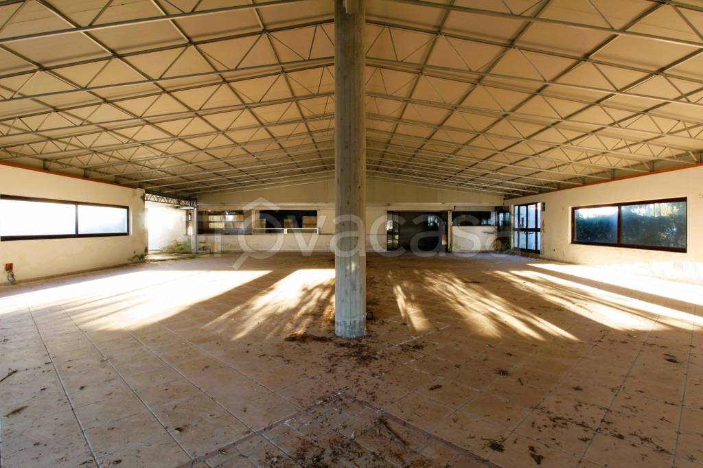 negozio in vendita a Melendugno in zona Torre Saracena