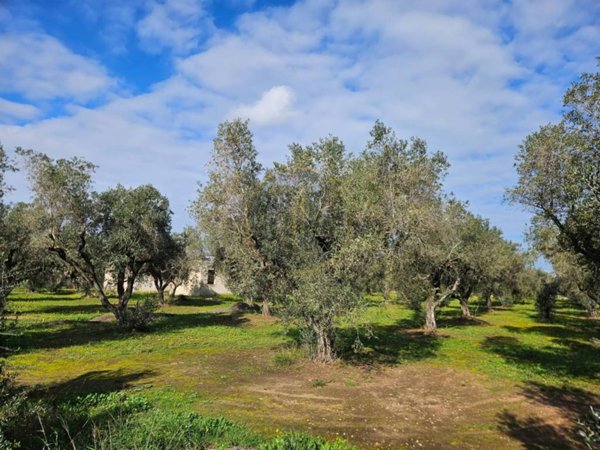 casa indipendente in vendita a Melendugno