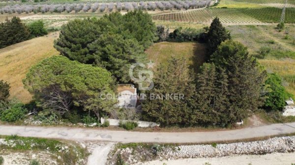 terreno agricolo in vendita a Melendugno in zona Borgagne