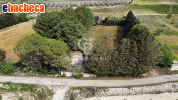 terreno agricolo in vendita a Melendugno in zona Borgagne