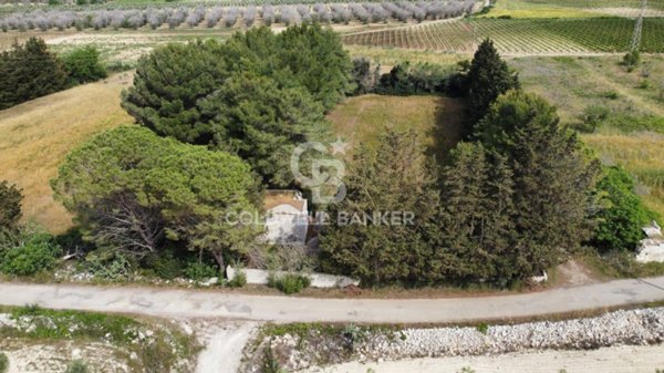 terreno agricolo in vendita a Melendugno in zona Borgagne