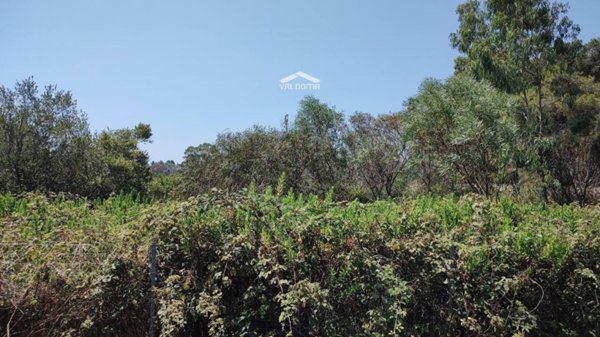 terreno agricolo in vendita a Melendugno in zona Torre dell'Orso