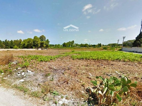 terreno agricolo in vendita a Melendugno