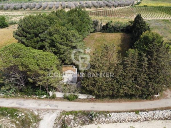 terreno agricolo in vendita a Melendugno in zona Borgagne