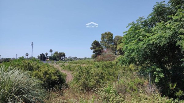 terreno agricolo in vendita a Melendugno in zona Torre dell'Orso