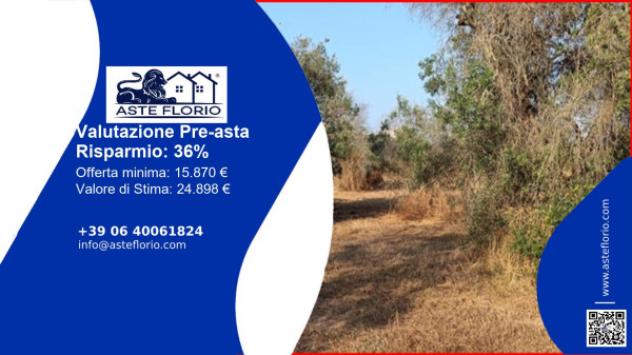 terreno agricolo in vendita a Melendugno