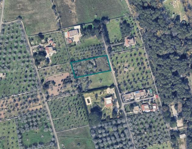 terreno agricolo in vendita a Melendugno