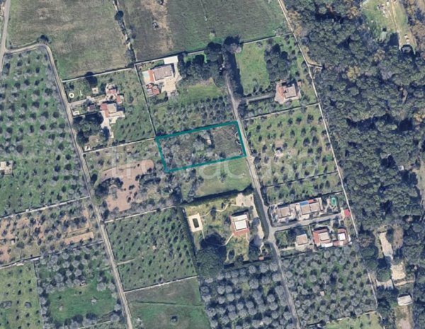 terreno agricolo in vendita a Melendugno