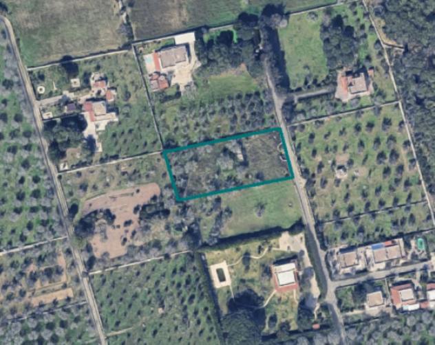terreno agricolo in vendita a Melendugno