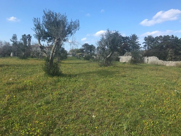 terreno agricolo in vendita a Melendugno in zona Borgagne