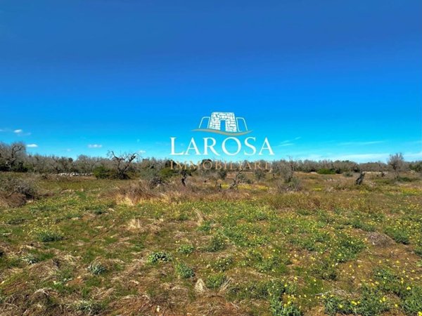 terreno agricolo in vendita a Melendugno in zona Torre Specchia