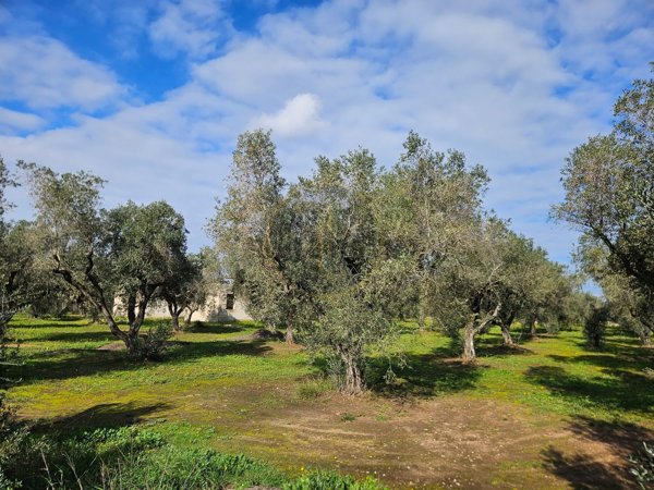 casa indipendente in vendita a Melendugno