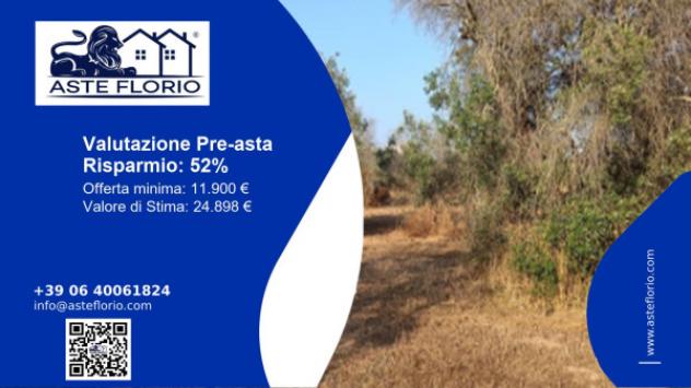 terreno agricolo in vendita a Melendugno