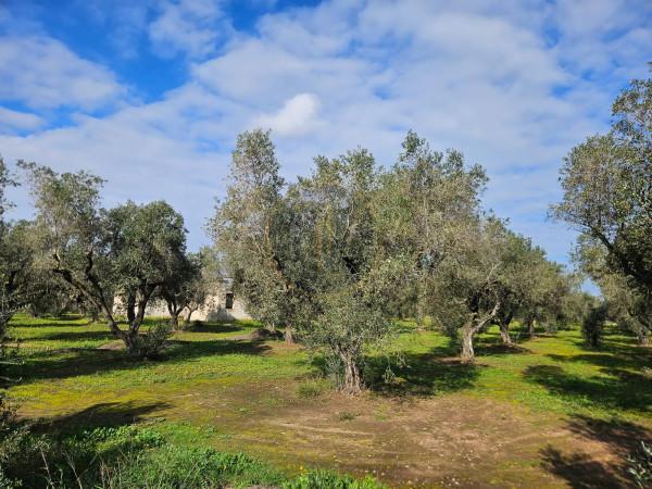 casa indipendente in vendita a Melendugno in zona Torre dell'Orso