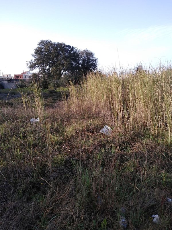 terreno edificabile in vendita a Melendugno