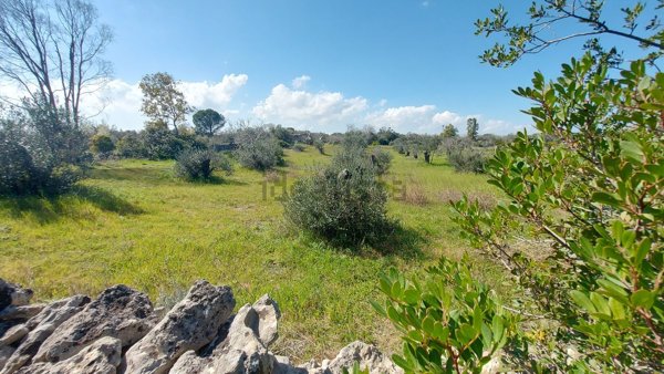 casale in vendita a Melendugno in zona Borgagne