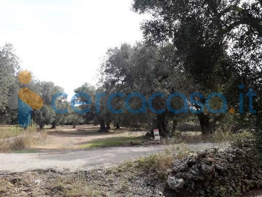 terreno agricolo in vendita a Melendugno in zona Borgagne
