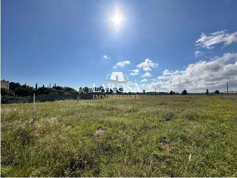 terreno agricolo in vendita a Melendugno in zona San Foca
