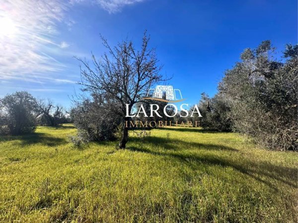 terreno agricolo in vendita a Melendugno in zona San Foca
