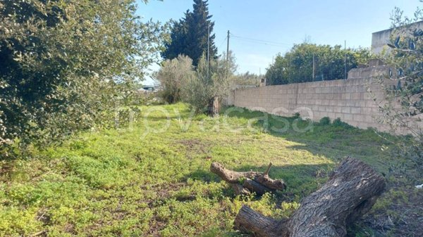 terreno agricolo in vendita a Melendugno in zona Borgagne