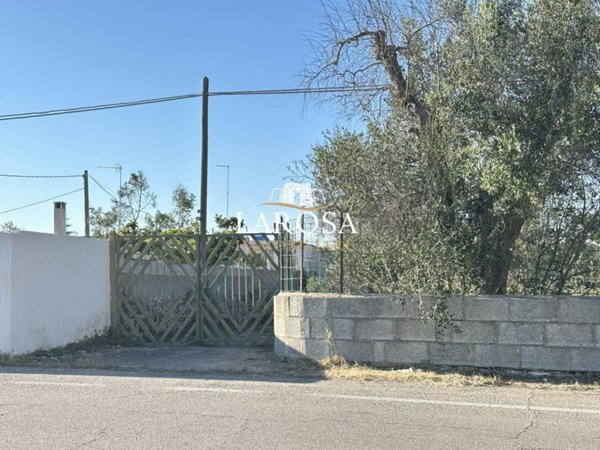 terreno agricolo in vendita a Melendugno in zona San Foca
