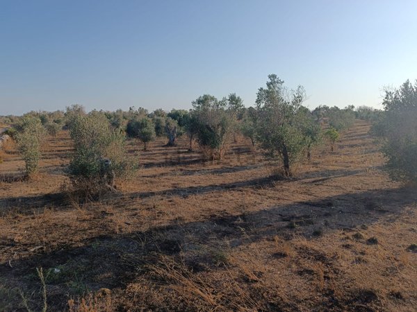 terreno in vendita a Melendugno
