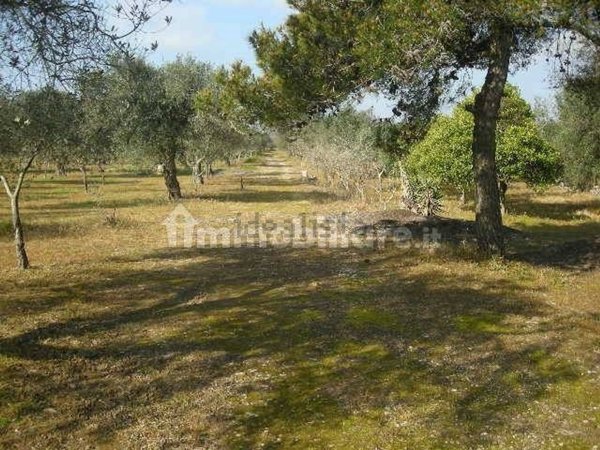 terreno in vendita a Melendugno