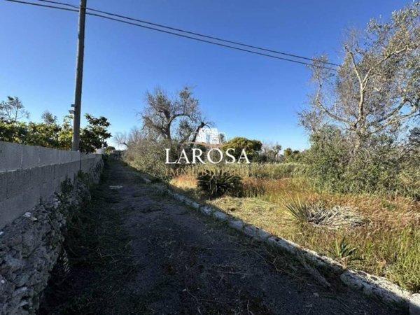 terreno in vendita a Melendugno in zona San Foca