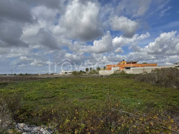 terreno agricolo in vendita a Melissano