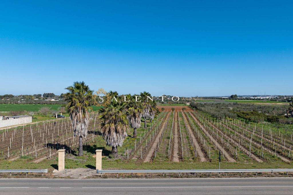 casa indipendente in vendita a Melissano