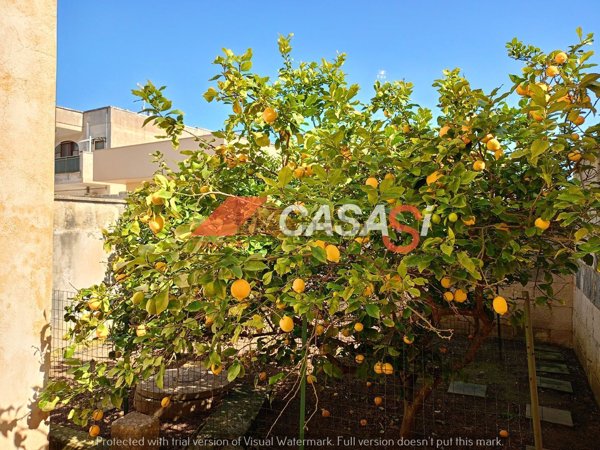 casa indipendente in vendita a Melpignano